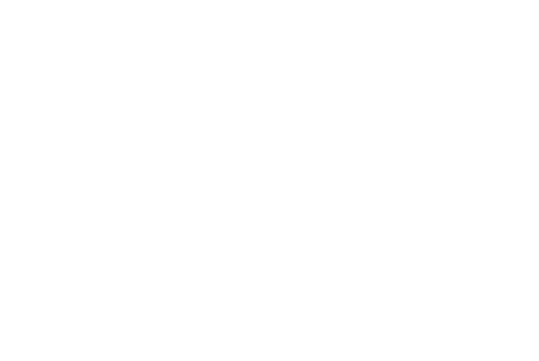 UI100Day