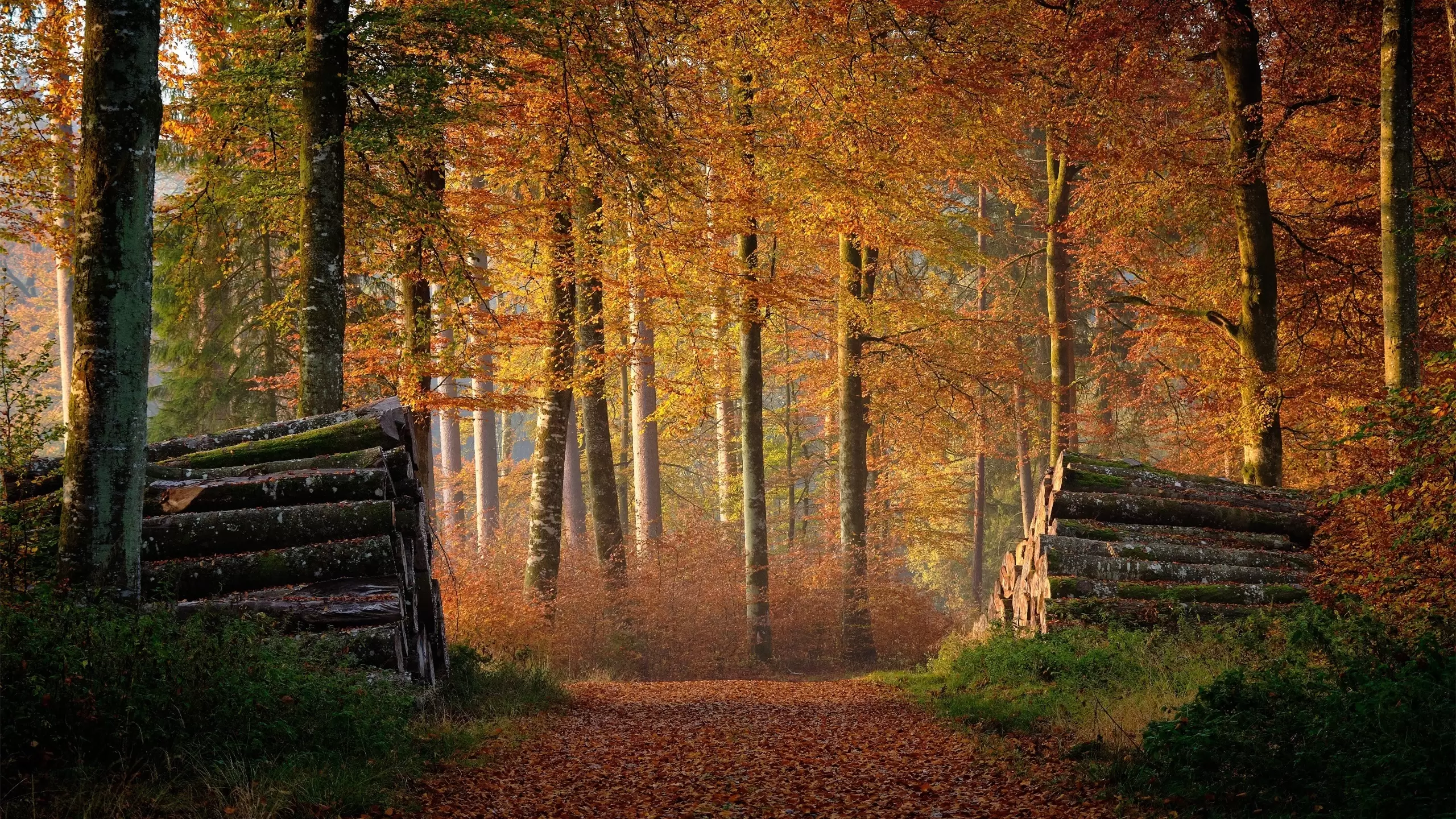 自媒体导航-https://www.zmt.wiki