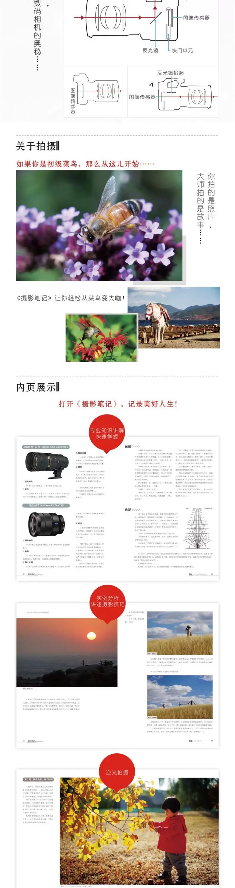 摄影笔记|单反摄影从入门到精通摄影教程