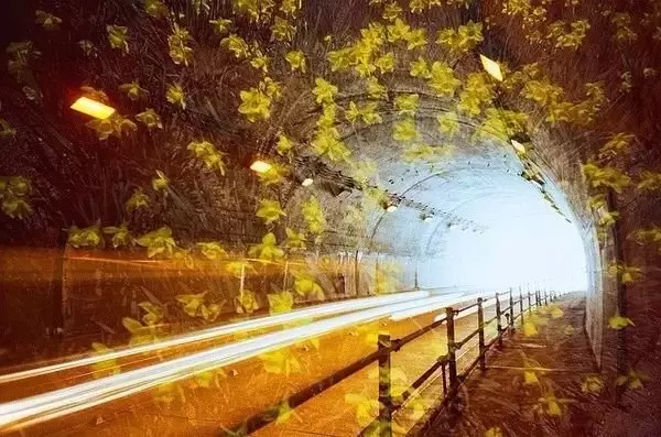 5种多重曝光摄影玩法套路 5种多重曝光摄影玩法套路