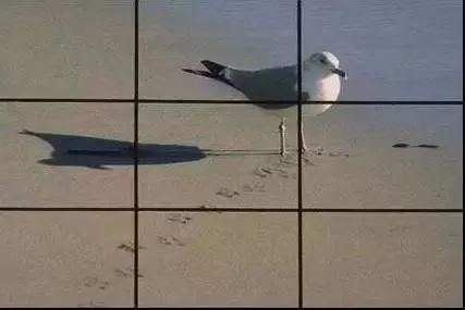 你可以不遵守的4条金科玉律 你可以不遵守的4条金科玉律