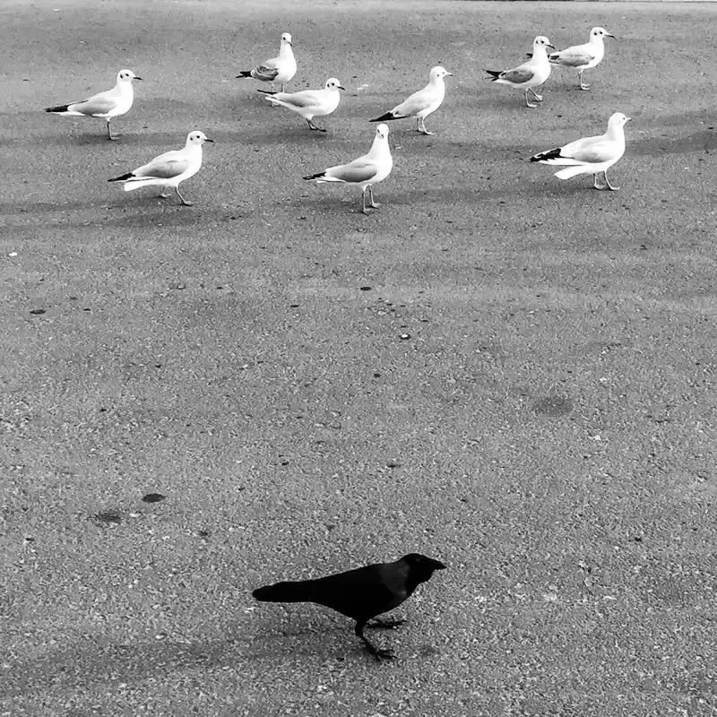 摄影师总结20条手机街拍经验 摄影师总结20条手机街拍经验