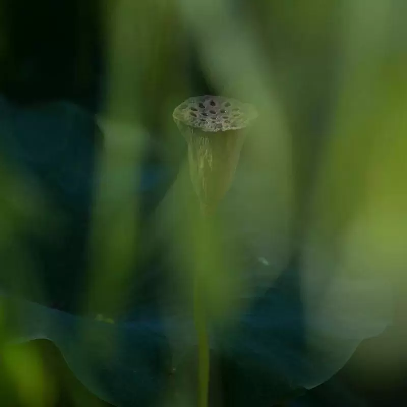 如何提升风光摄影作品的情感表现力 如何提升风光摄影作品的情感表现力