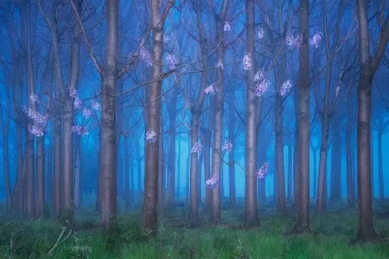 如何提升风光摄影作品的情感表现力 如何提升风光摄影作品的情感表现力