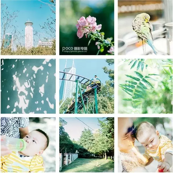 如何拍出好看的清新静物照 如何拍出好看的清新静物照