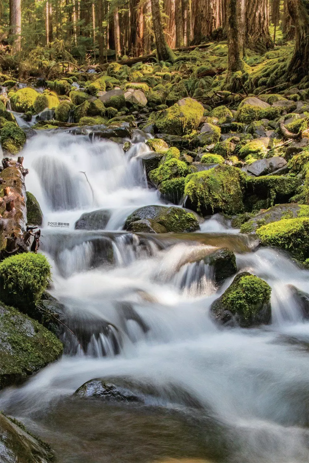 如何把照片拍得更有“观感” 如何把照片拍得更有“观感”