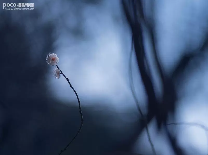 教你如何拍出中国风的意境 教你如何拍出中国风的意境