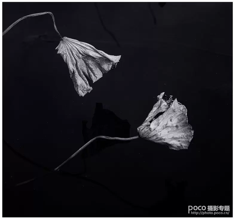 教你如何拍出中国风的意境 教你如何拍出中国风的意境