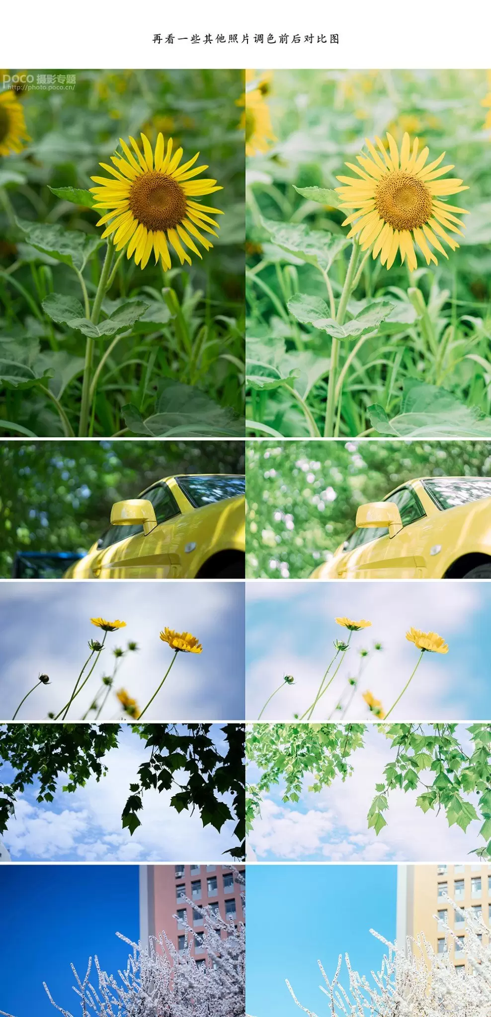 清新类静物摄影的前后期系统教学