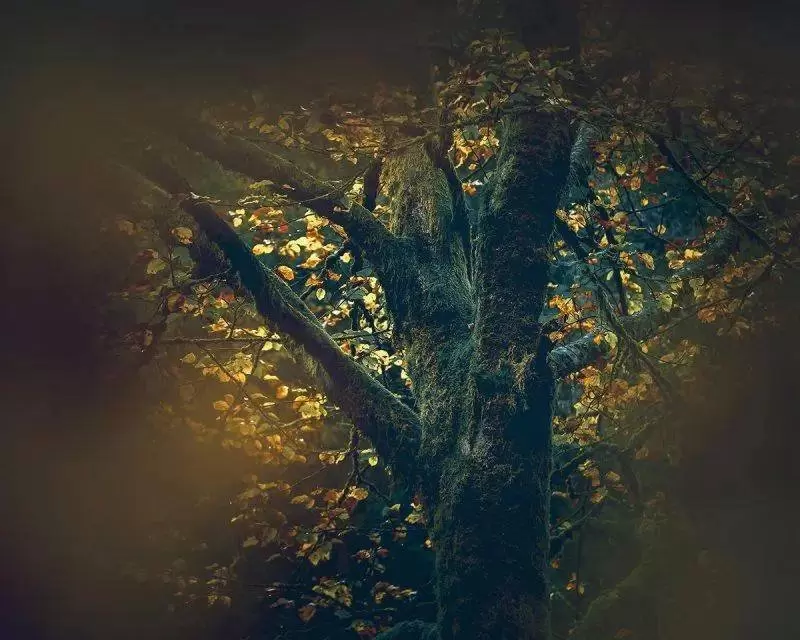 抽象式风景摄影12个秘诀 抽象式风景摄影12个秘诀