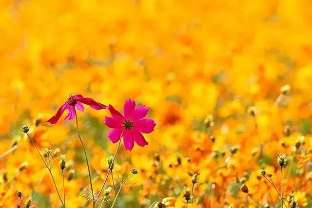 你可以不遵守的4条金科玉律 你可以不遵守的4条金科玉律