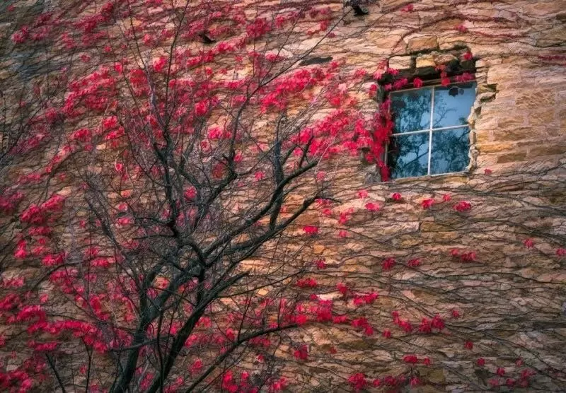 如何提升风光摄影作品的情感表现力 如何提升风光摄影作品的情感表现力