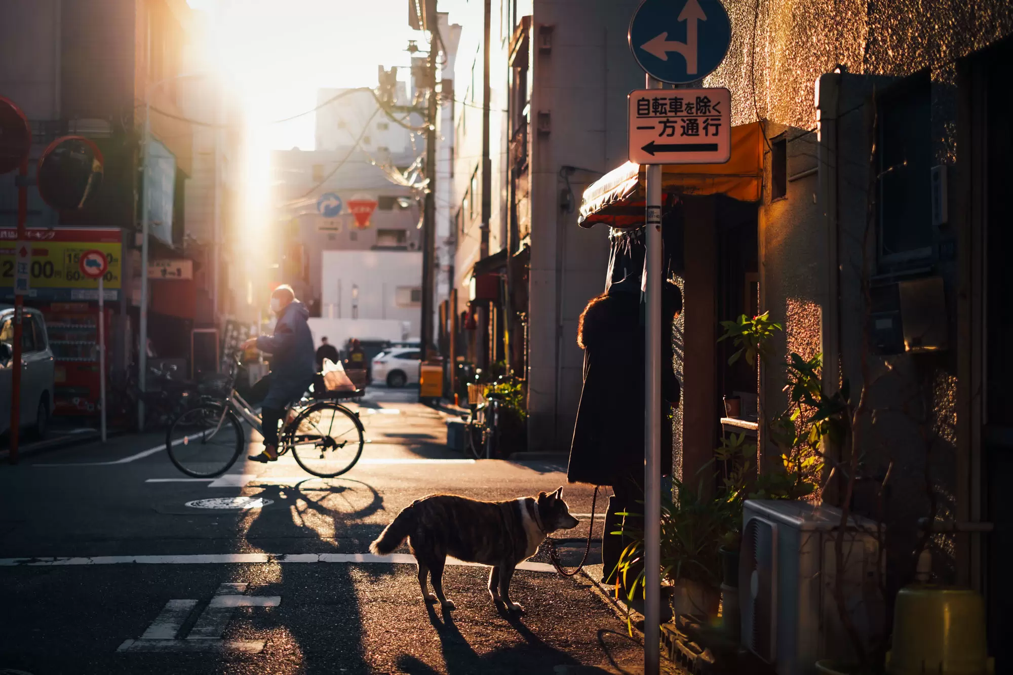 冬日的温暖的光