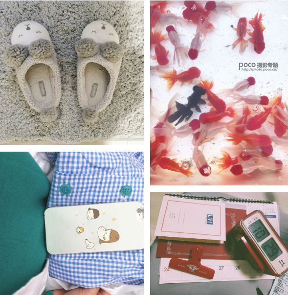 拍摄风光和静物手机摄影小秘籍