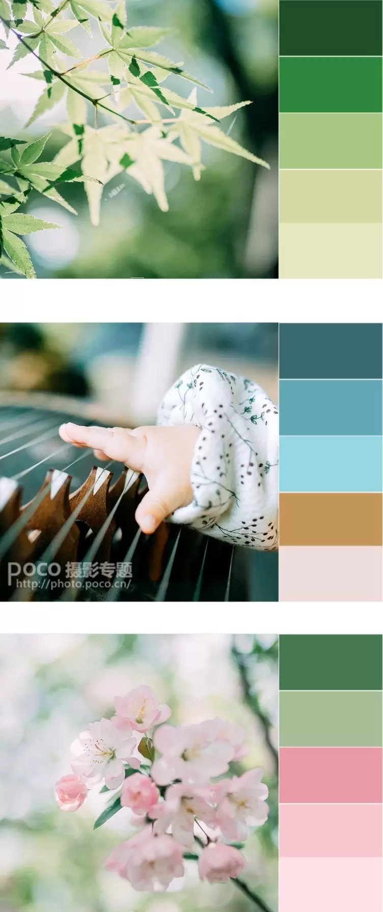 如何拍出好看的清新静物照 如何拍出好看的清新静物照