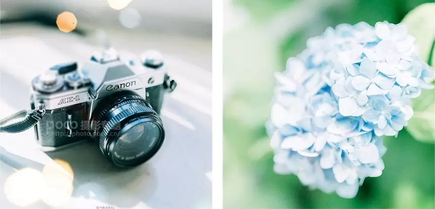 如何拍出好看的清新静物照 如何拍出好看的清新静物照