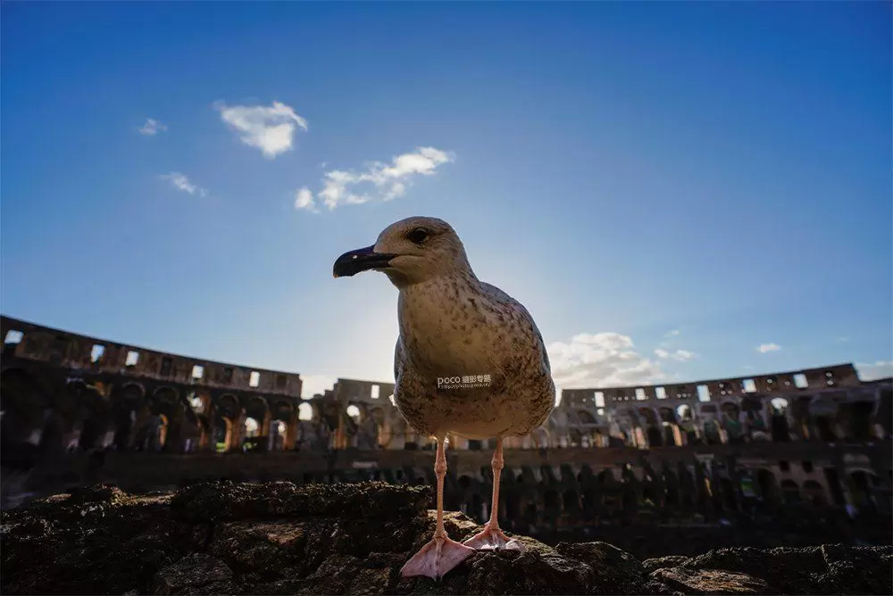 如何把照片拍得更有“观感” 如何把照片拍得更有“观感”