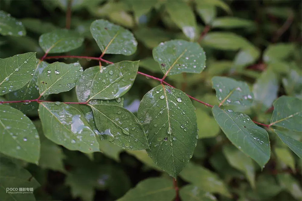 如何把照片拍得更有“观感” 如何把照片拍得更有“观感”