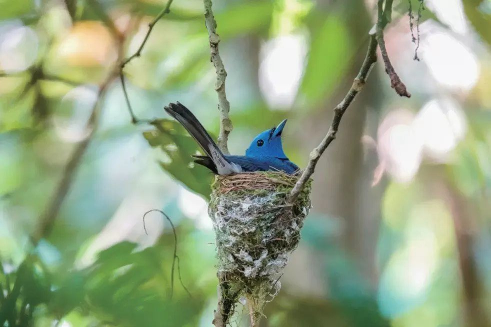 如何把照片拍得更有“观感” 如何把照片拍得更有“观感”