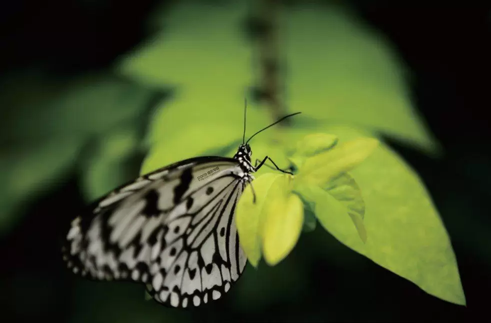 如何把照片拍得更有“观感” 如何把照片拍得更有“观感”