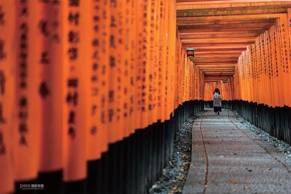 如何把照片拍得更有“观感” 如何把照片拍得更有“观感”