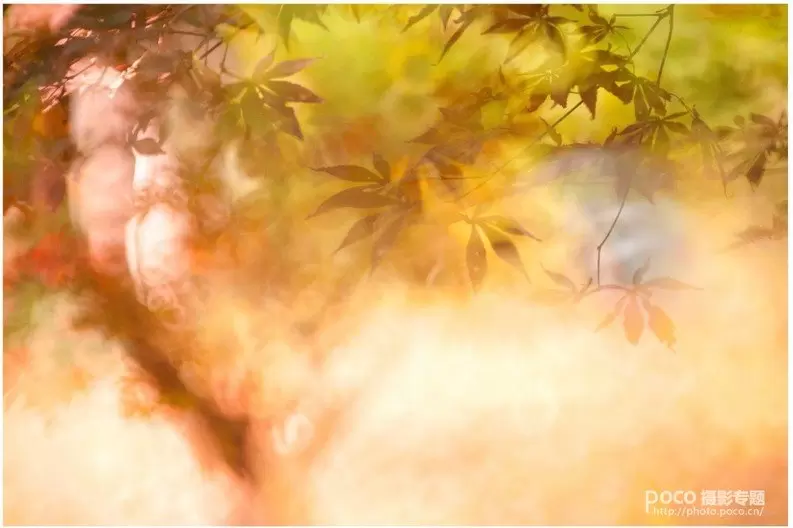 教你如何拍出中国风的意境 教你如何拍出中国风的意境