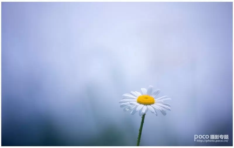 教你如何拍出中国风的意境 教你如何拍出中国风的意境