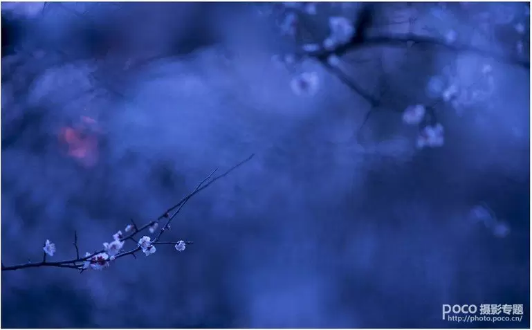 教你如何拍出中国风的意境 教你如何拍出中国风的意境