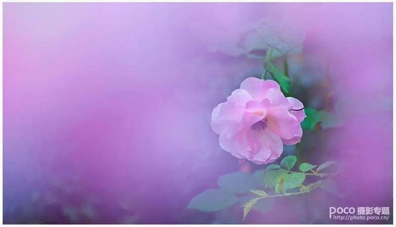 教你如何拍出中国风的意境 教你如何拍出中国风的意境