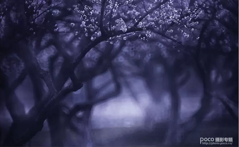 教你如何拍出中国风的意境 教你如何拍出中国风的意境