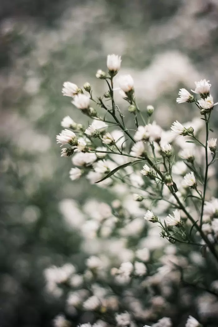 50mm定焦让你的摄影思维豁然开朗 50mm定焦让你的摄影思维豁然开朗