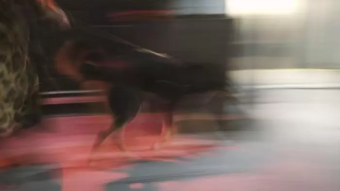 夜晚街拍教你拍出迷幻的都市空间 夜晚街拍教你拍出迷幻的都市空间