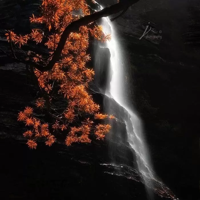 培养摄影的观察力发现不寻常的视角 培养摄影的观察力发现不寻常的视角