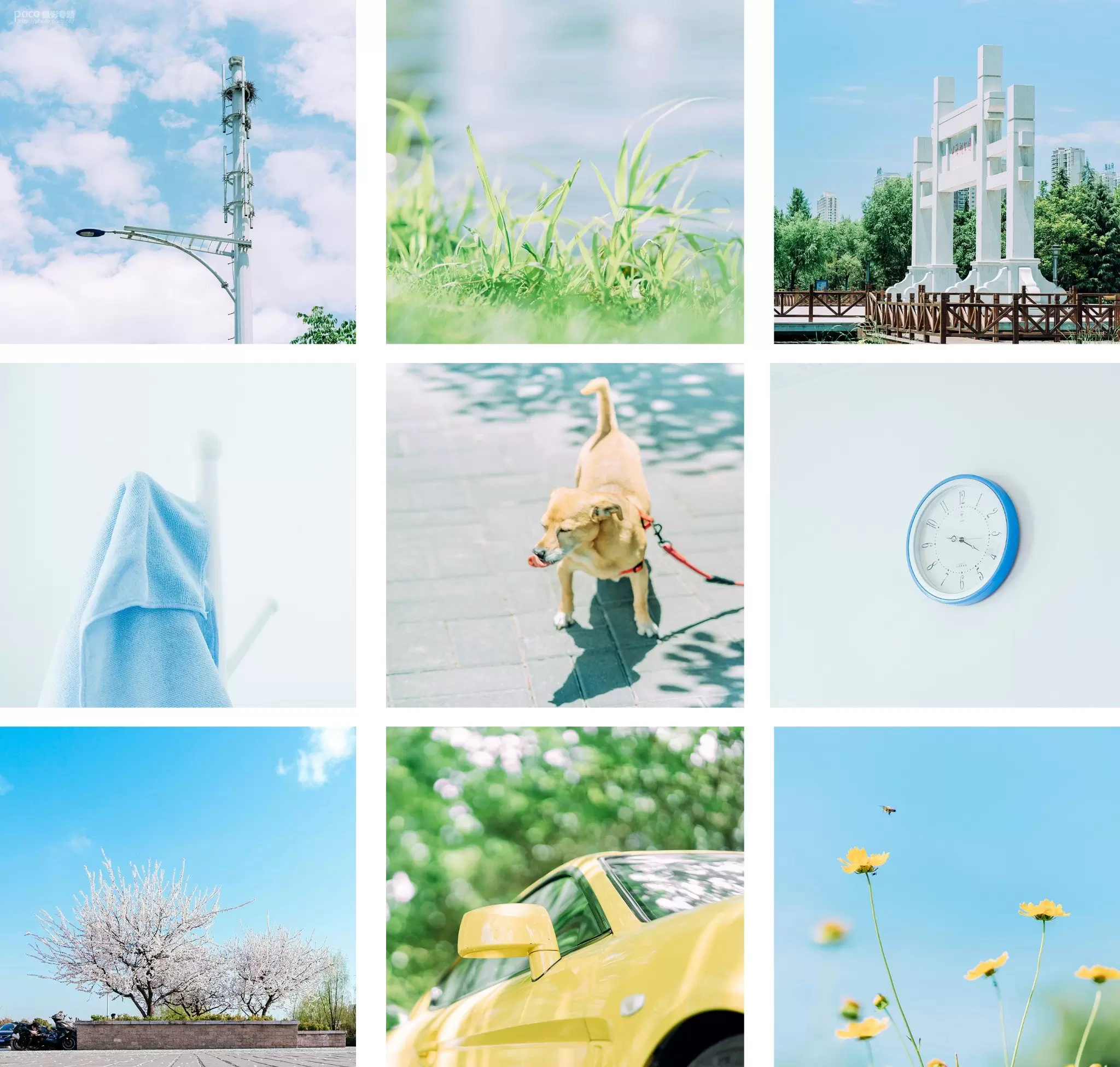 清新类静物摄影的前后期系统教学