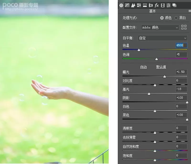 清新类静物摄影的前后期系统教学