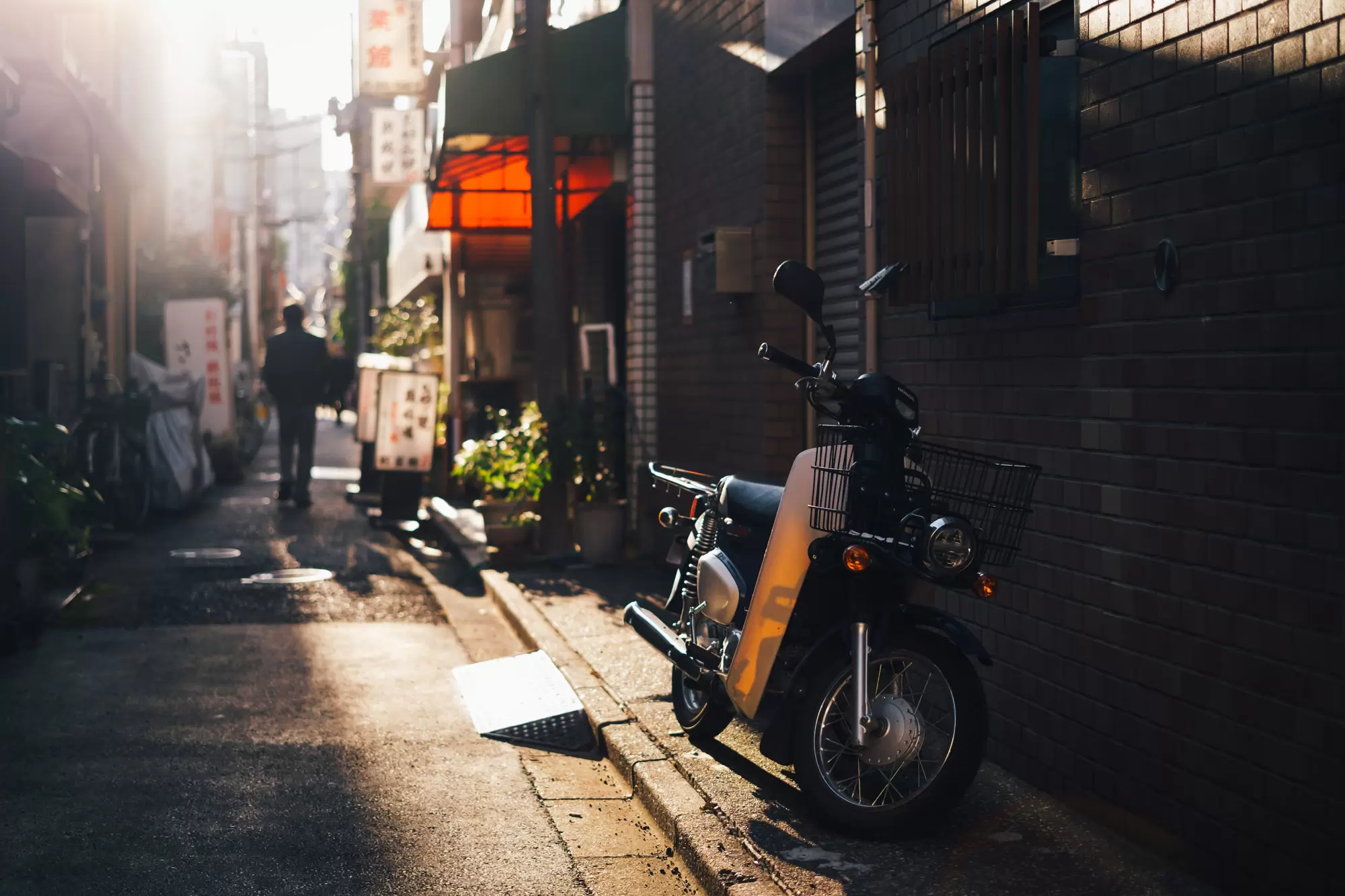 冬日的温暖的光