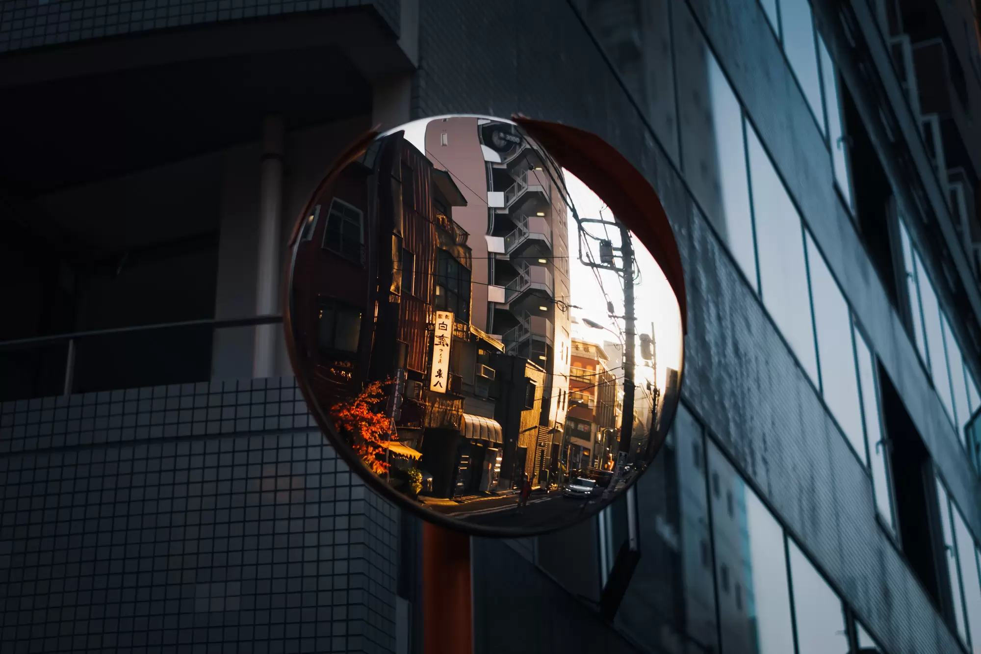 冬日的温暖的光