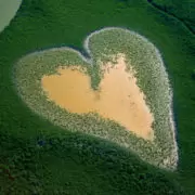 Yann Arthus