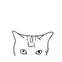 猫十一摄影工作室