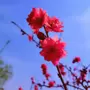 照片在说话