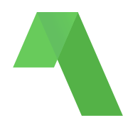 AN1