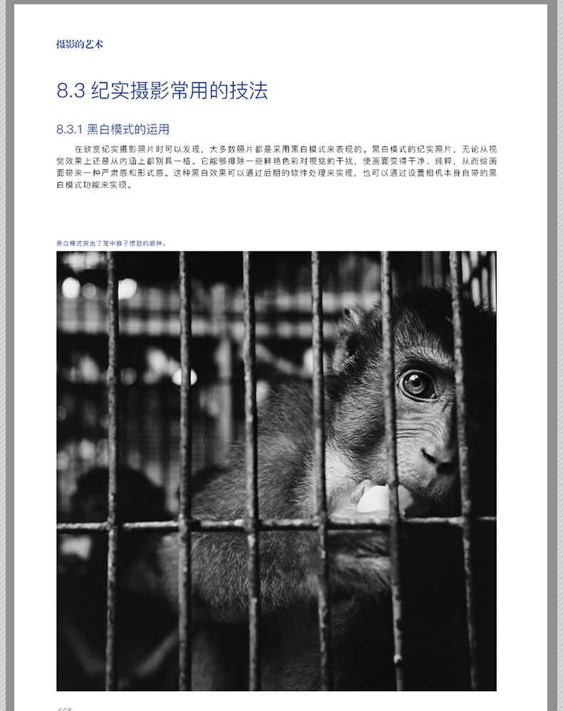 摄影的艺术