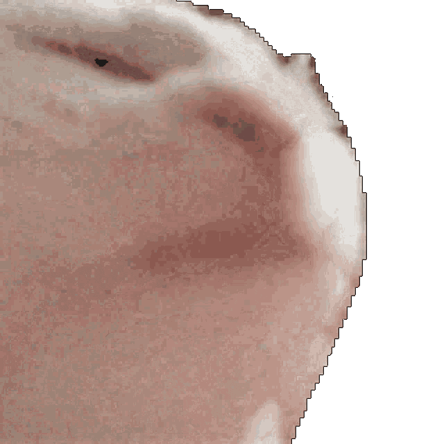 Natural Language Playlist