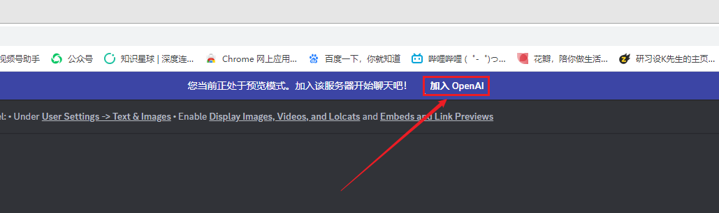20230527114750385 Midjourney账号注册与登录
