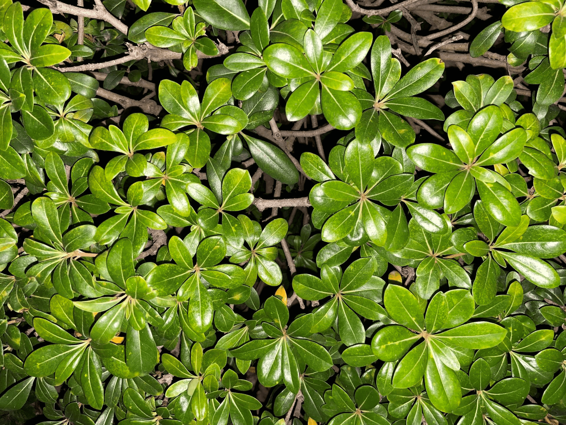 20230818090752937 拍摄前,我们需要做什么?