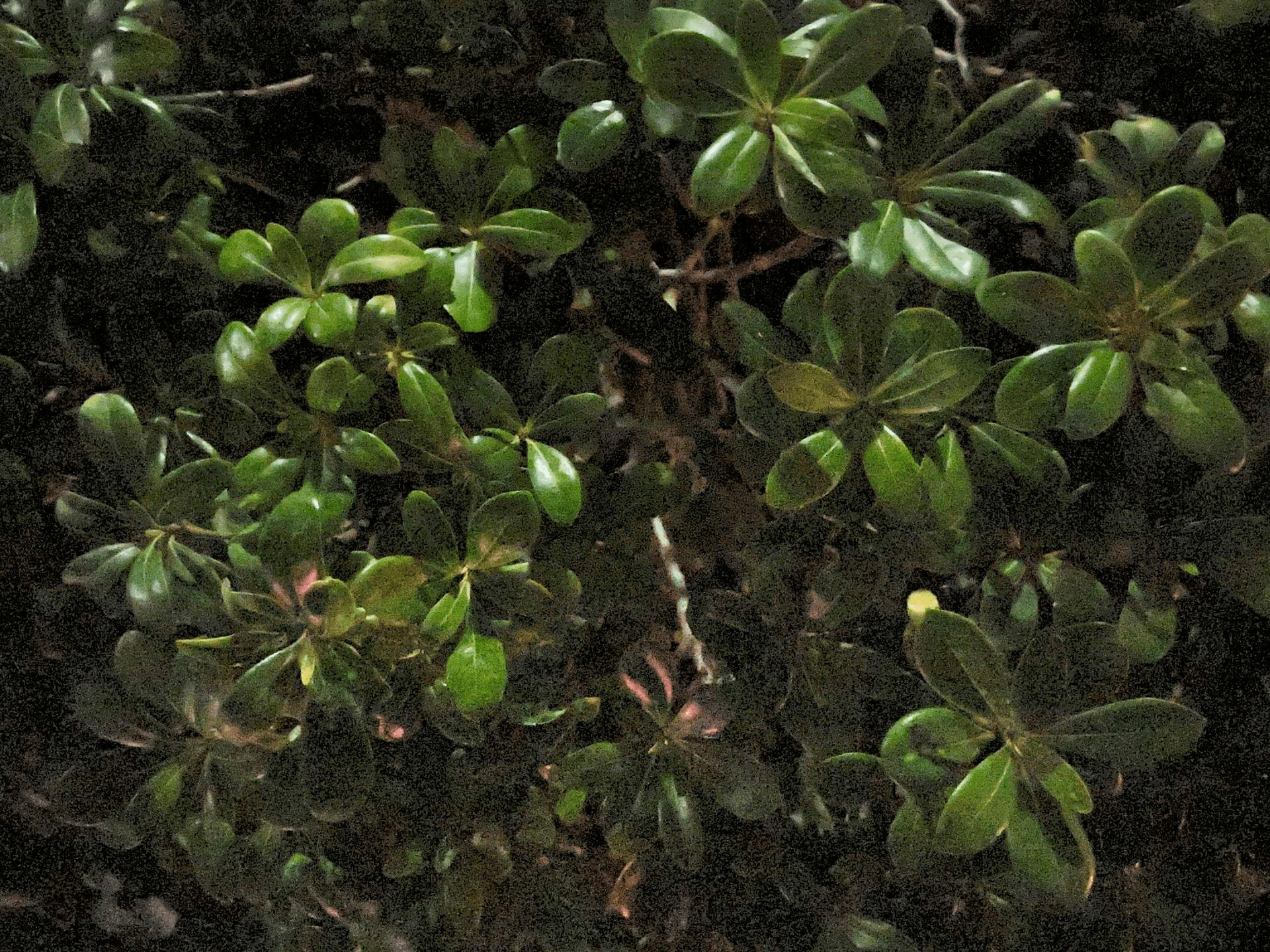 20230818090756337 拍摄前,我们需要做什么?