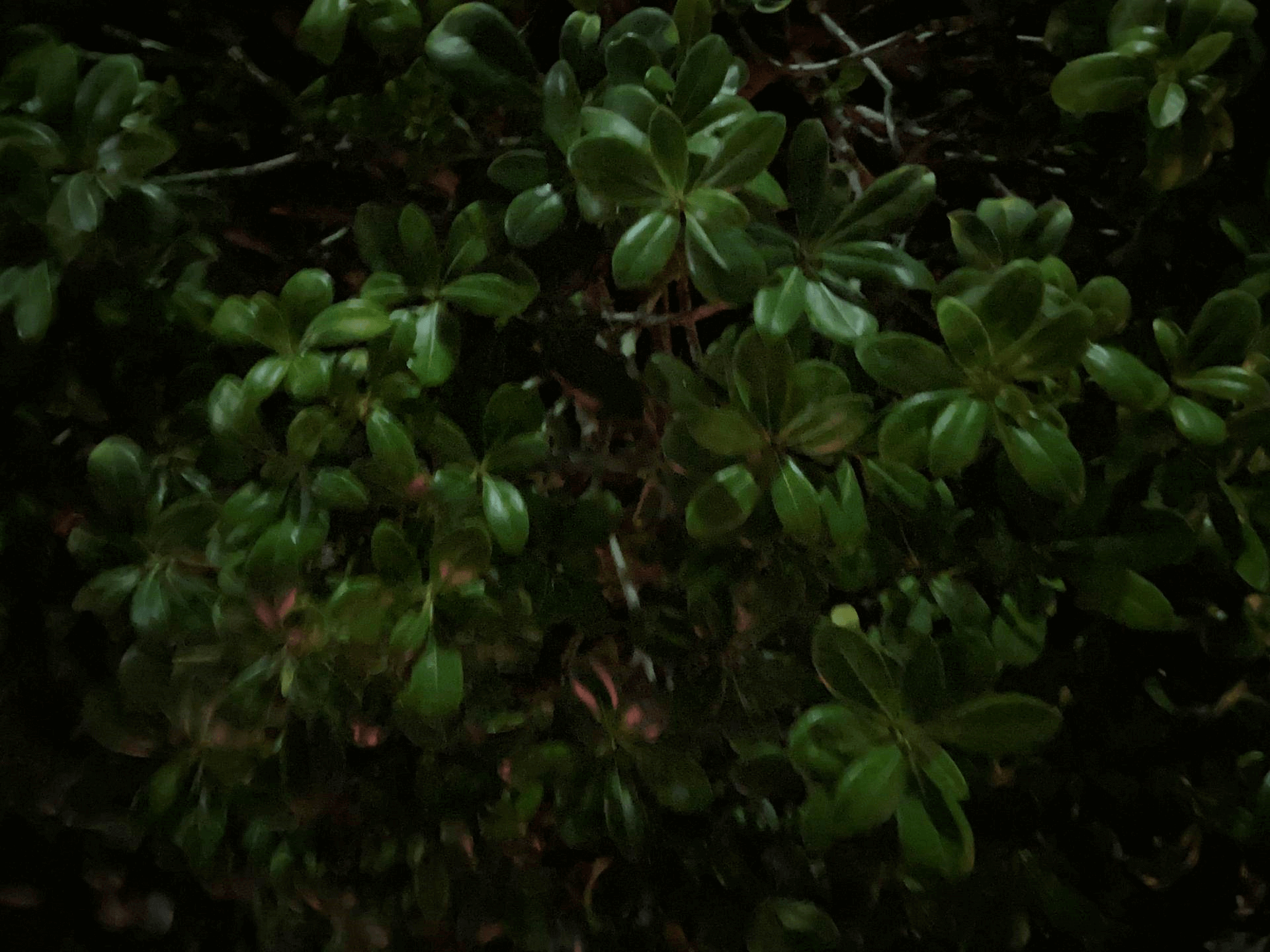 20230818090804899 拍摄前,我们需要做什么?