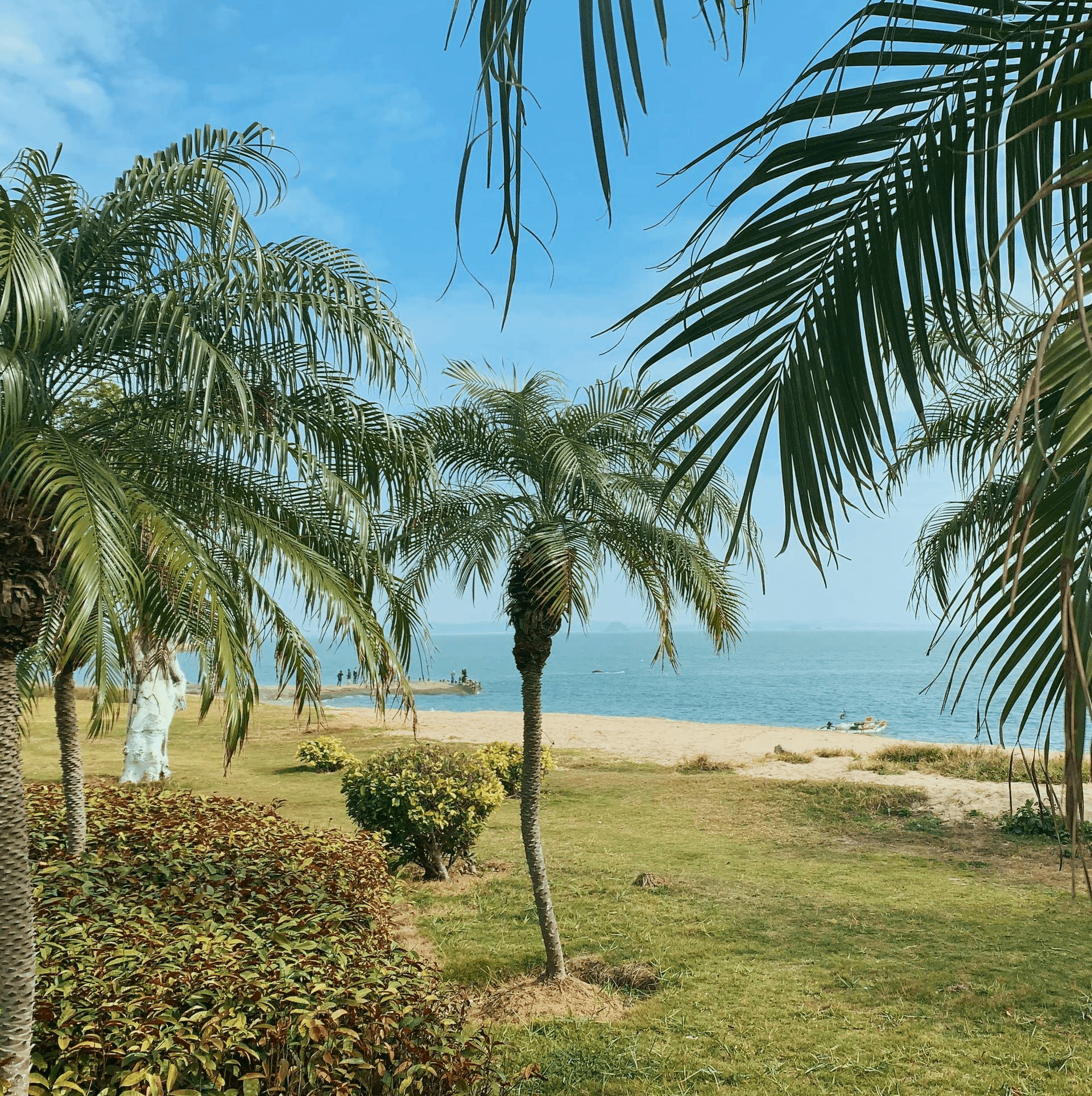 20230818093012243 你的照片里是否有内容?