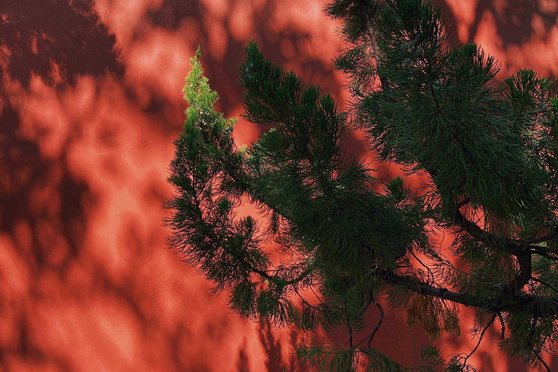 20230818104344502 后期概述:工具选择与调色倾向