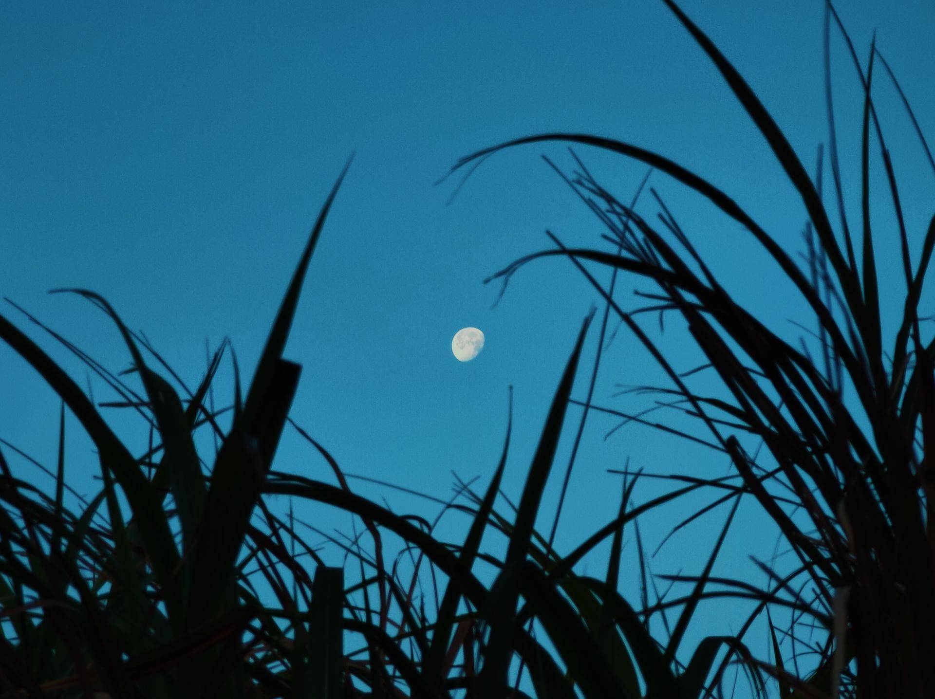 20230818105426299 后期调色:基础工具使用